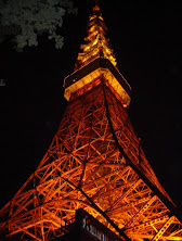 Tokyo Tower at Night @http://agileopedia.com