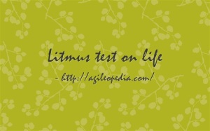 Litmus test on life @http://agileopedia.com